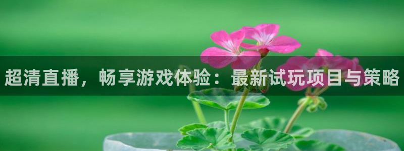 欧博娱乐登录地址：超清直播，畅享游戏体验：最新试玩项目与策略
