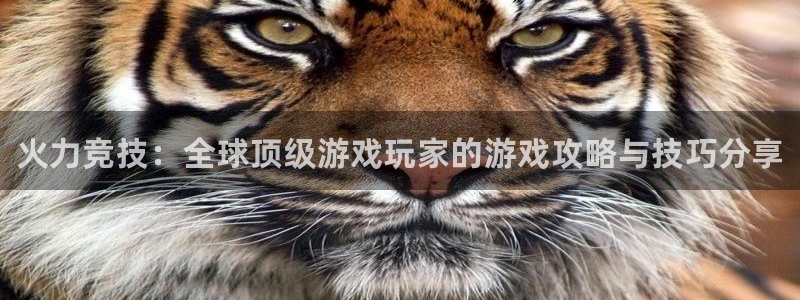 欧博娱乐娱乐：火力竞技：全球顶级游戏玩家的游戏攻略与技巧分享
