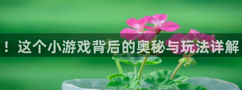 欧博娱乐4开户：！这个小游戏背后的奥秘与玩法详解