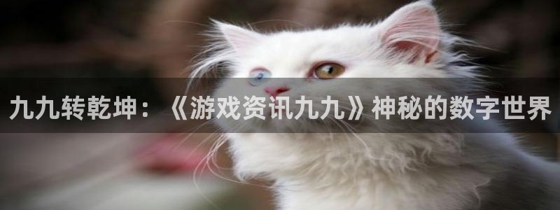 欧博娱乐2登录：九九转乾坤：《游戏资讯九九》神秘的数字世界